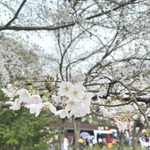 春暖花开 约会女神丨AG一飞冲天集团关爱女职工运动